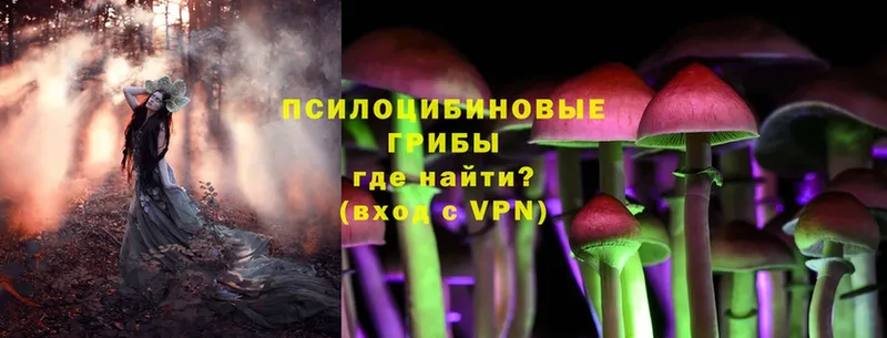 Галлюциногенные грибы MAGIC MUSHROOMS  Касли 